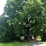 U Eichendorffa Lubowice