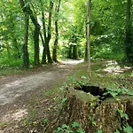 U Eichendorffa Bed & Breakfast Lubowice
