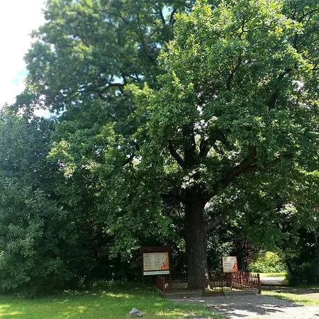 U Eichendorffa Lubowice