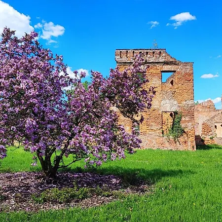 לינה וארוחת בוקר U Eichendorffa