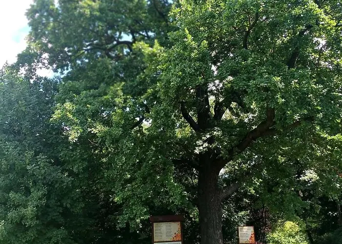 U Eichendorffa Lubowice