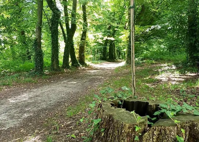 U Eichendorffa Отель типа 