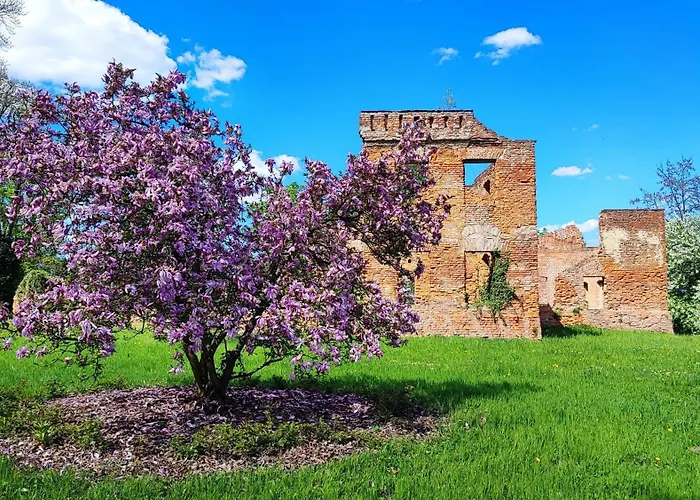 לינה וארוחת בוקר U Eichendorffa