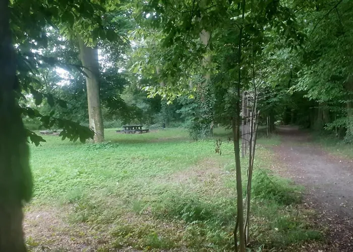 U Eichendorffa Lubowice